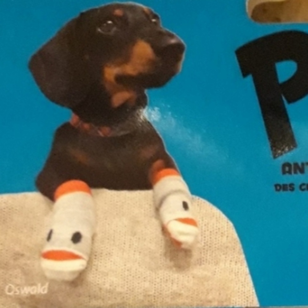 Doggy protective socks.